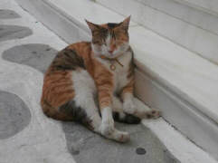 Lifes_hell_on_Naxos