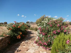Pathway_to_Demeters_Sanctuary_Naxos