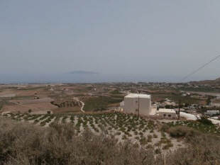 Vineyards_Santorini